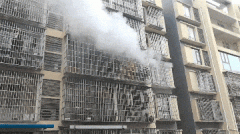 逐个尝试点燃门口堆放的物品