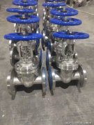 <b>为行业树立了发展标杆；积极参与国家级重大项</b>